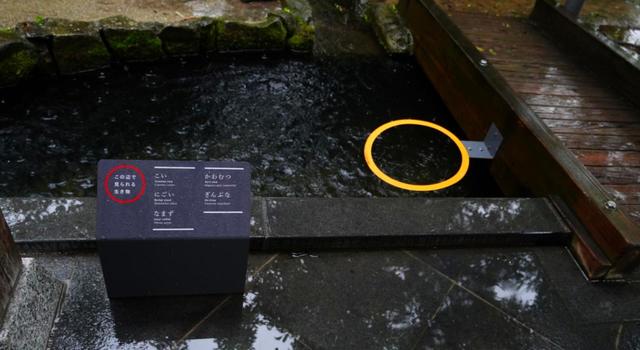 京の里山 展示生物表示と観察ポイント