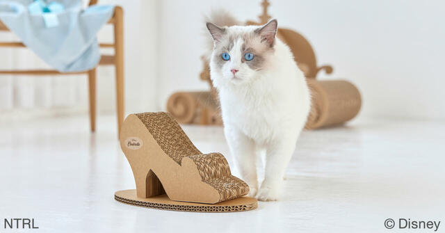 キャットトイ ディズニーシリーズ /シンデレラ 5,500円