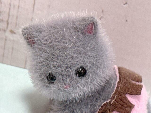 ペルシャネコの赤ちゃんは白の子のイメージが強かったのですが、グレーの子もかわいすぎる！ふわふわの毛がたまりません…！