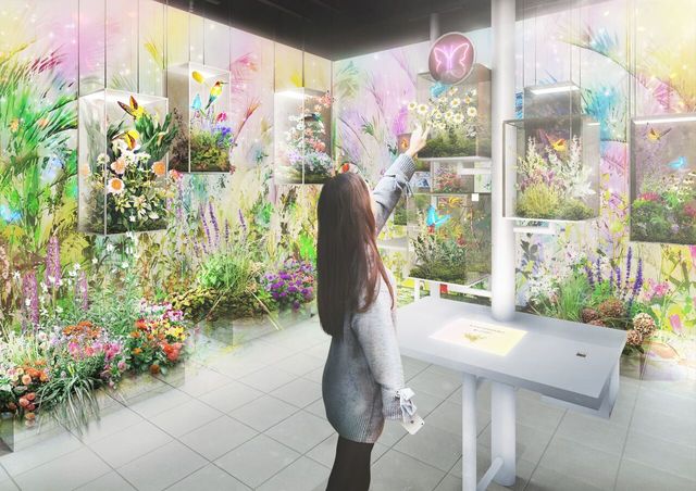 WILD FLOWER GARDEN（ワイルド フラワー ガーデン）