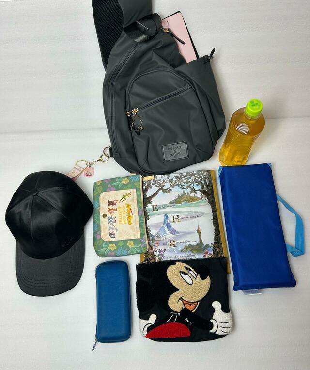 【ワークマン】Disneyワンショルダー