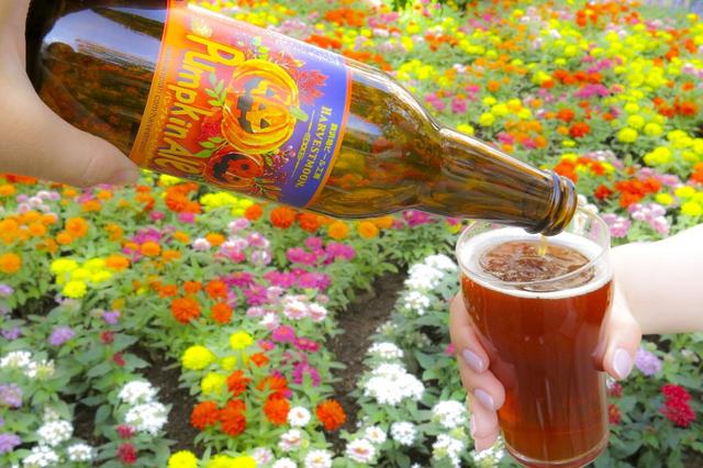 舞浜の地ビール ハーヴェスト・ムーン