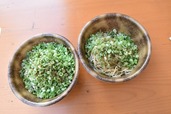 汁なし担々麺がウリの「キング軒」