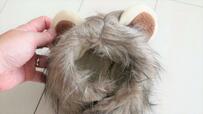 【SHEIN ライオン風ペットヘッドウェア】猫ちゃんだけでなくわんちゃんも装着可能