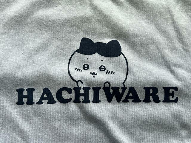 フロントにはハチワレがひょっこりお顔を覗かせています!