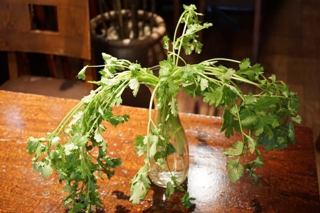 新鮮すぎる！？パクチー（根つき）食べ 放題 200 円