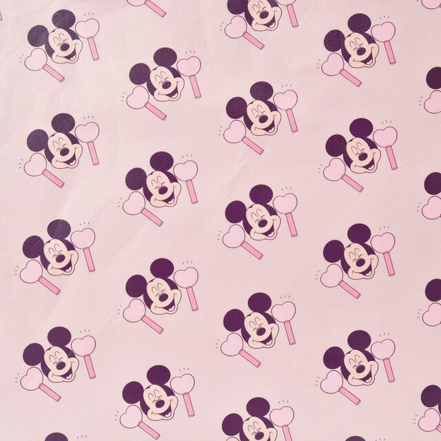 ミニー&ミッキー ショッピングバッグ・エコバッグ(L) MINNIE DAY 2026 1,300円