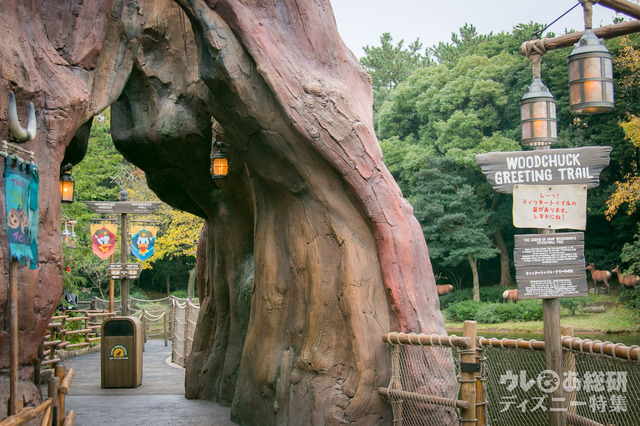 ティッタートゥイルツリー