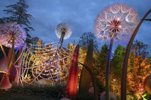 東京ディズニーシー「ファンタジースプリングス」内「フェアリー・ティンカーベルのビジーバギー」