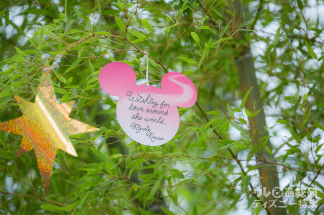 ミニーマウスのウィッシングカード