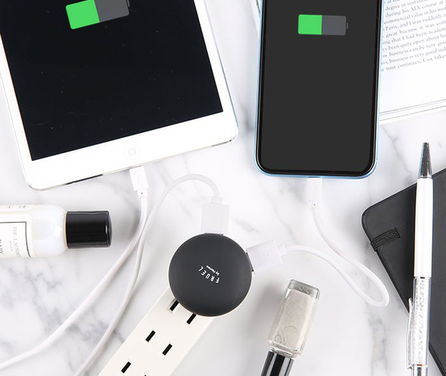 FRUEL フルーエル 2ポートUSB-AC充電器