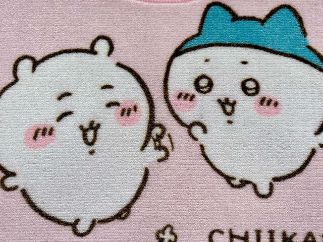 【ちいかわ×アベイル】いつも通り仲良しのふたり♪あれ？ハチワレはいつもとどこか違う？