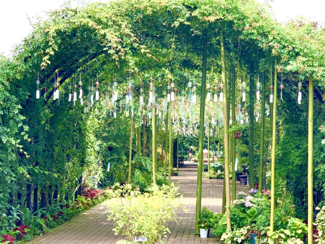 「横浜イングリッシュガーデン」風鈴の音色が涼しげ