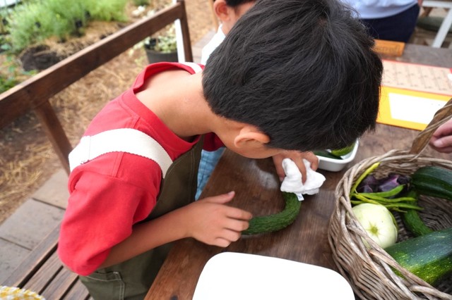 【リゾナーレ那須】収穫した野菜をきれいにする作業