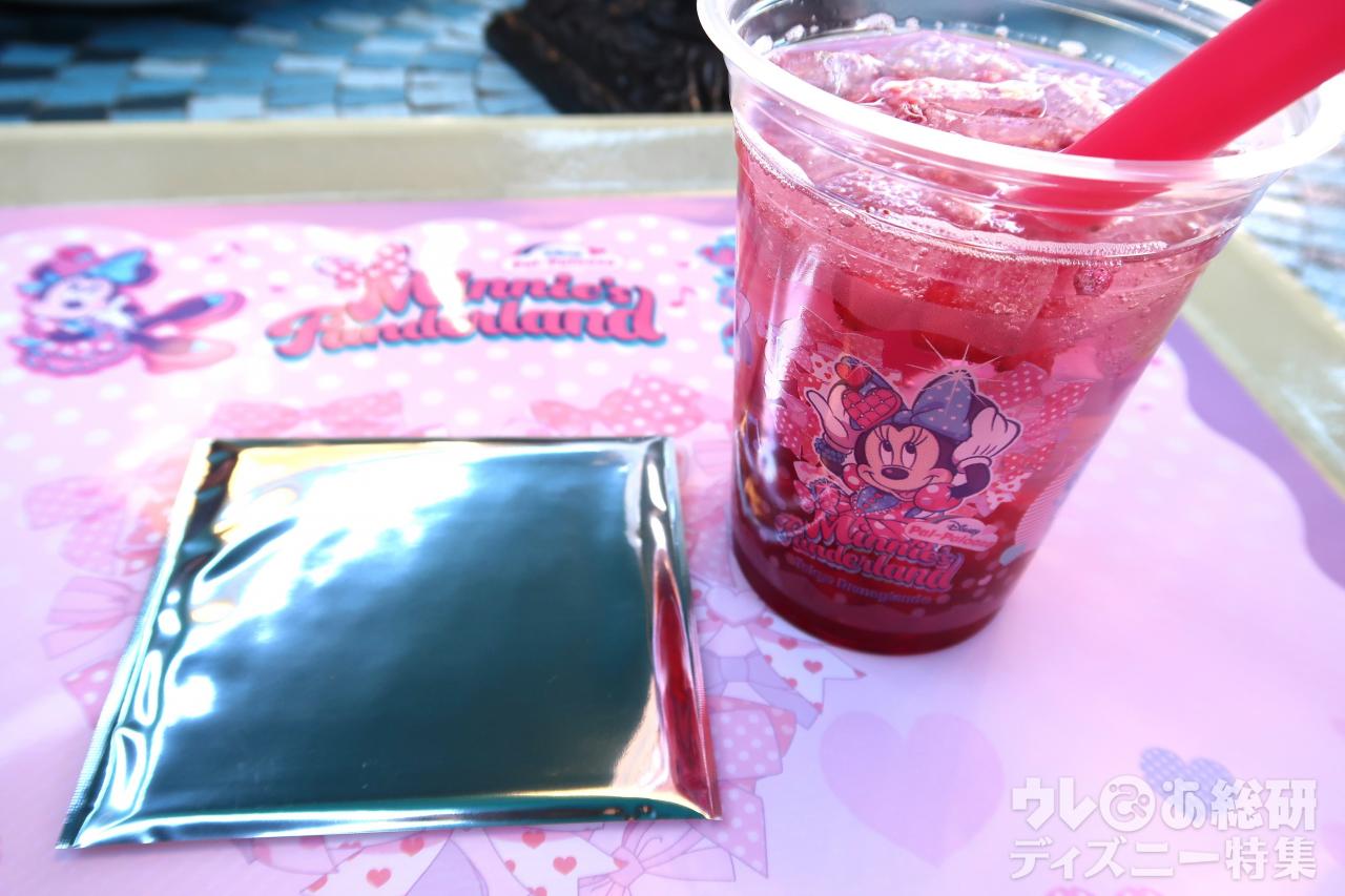 東京ディズニーランド】激かわデザイン全3種を紹介!「新作スーベニア