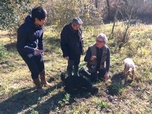 イタリアでのトリュフハンティング