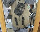 【ニトリ 猫用爪切りお助けエプロン(ベージュ)】装着の様子と途方にくれるゴン