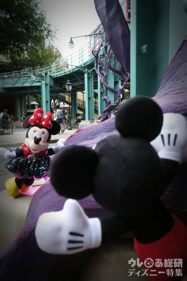 ハロウィーンは怪しい雰囲気のぬい撮りも楽しい!