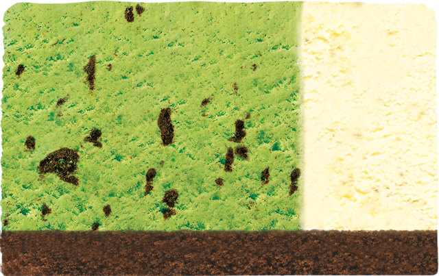 レックス｜クッキー入り抹茶＋バニラ（チョコレートスポンジ）