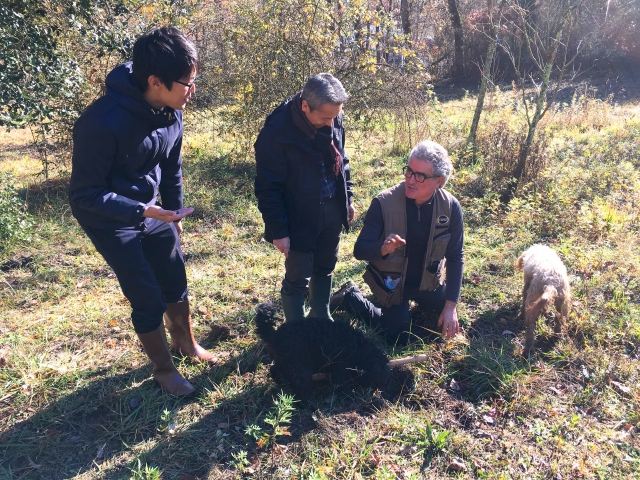 イタリアでのトリュフハンティング