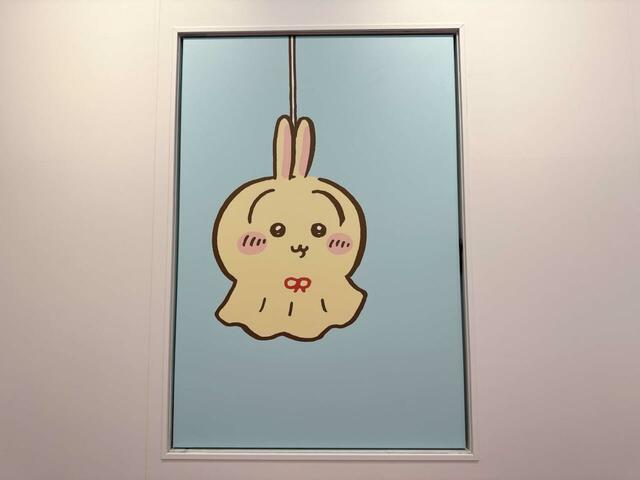 人気のウラヤハボウズまで！