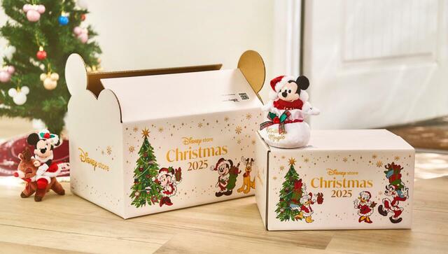 DISNEY CHRISTMAS　配送ボックス