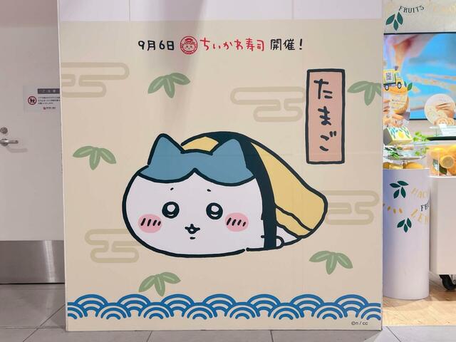 たまご寿司になったハチワレ。ぽやっとした表情が可愛いすぎ!