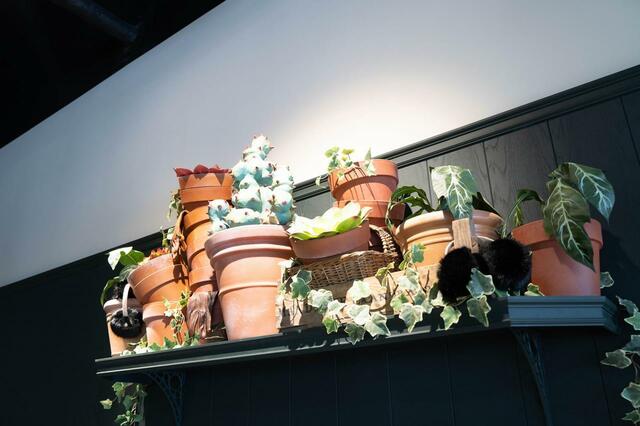 バックロットカフェ｜ワーナー ブラザース スタジオツアー東京 メイキング・オブ・ハリー・ポッター