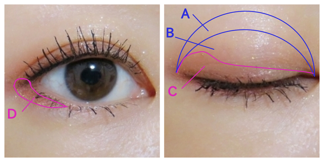 アイシャドウミニ トナカイ使用法