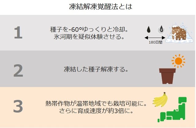 凍結解凍覚醒法