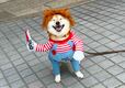【犬用チャッキーコスチューム】なりきりコスプレにご満悦？