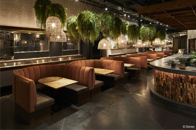 Disney HARVEST MARKET By CAFE COMPANY