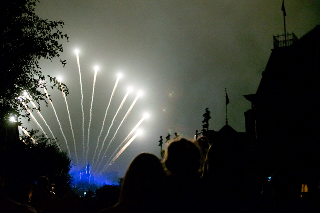 トゥギャザー・フォーエバー|ディズニーランド