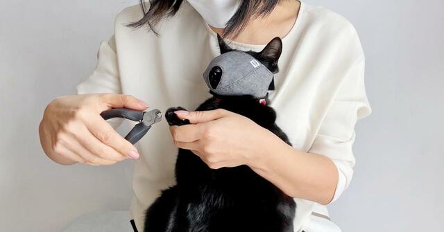 もふもふマスクで爪きり中のネコ【猫用の爪切り補助具「もふもふマスク」】