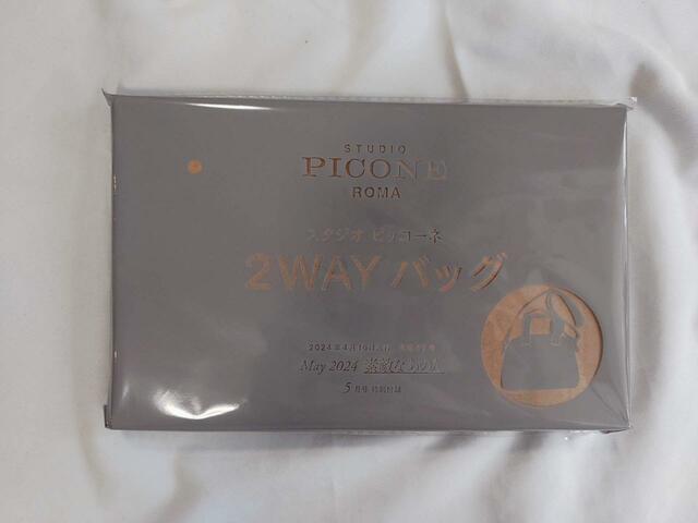 付録はイタリア生まれのエレガンスカジュアルブランド『スタジオ ピッコーネ』とコラボした2WAYバッグ