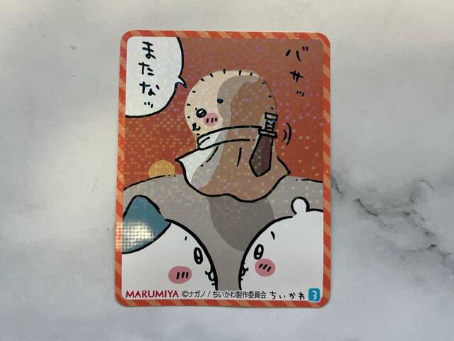 全10種類のキラキラシール入り!