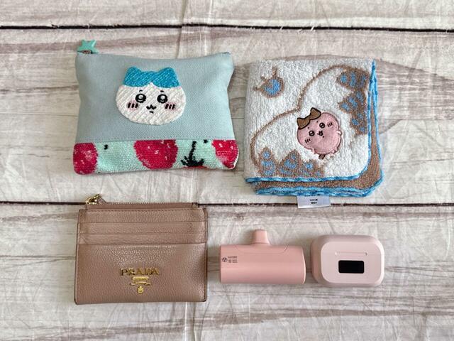 【カルディ いちごバッグ／ボディバッグ】ポーチ、ハンドタオル、ミニ財布、モバイルバッテリーなどちょっとしたお出かけの必需品を入れてみると…⇒