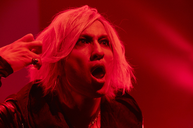 THE BLACK SWAN　儿