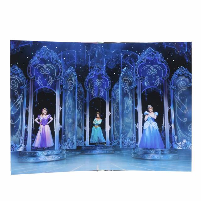 写真集 5,800円|サイズ:(写真集)縦約21×横約15cm(バッグ)高さ約22×幅約24×マチ約8.5cm、バッグ付き|Imagining the Magic「ミッキーのマジカルミュージックワールド」|販売店舗:東京ディズニーランド「ビレッジショップス」