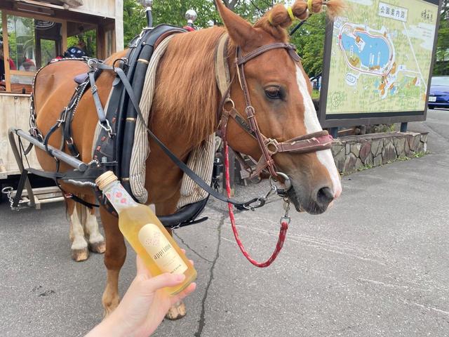 【星野リゾート 青森屋】「しがっこ風鈴馬車」