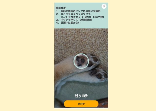 【犬の健康を守るアプリカルテコ】肉球がピンクの犬は、肉球の撮影で測定可能です