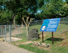 【舞鶴若狭自動車道・西紀SA(上り・下り)】起伏があるドッグラン 写真提供：NEXCO西日本