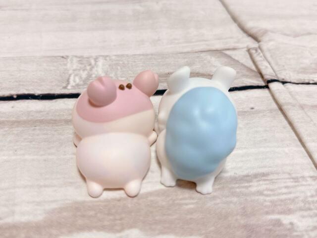 上から写してみました。ピンク＆ブルーのカラーリングがかわいい…！