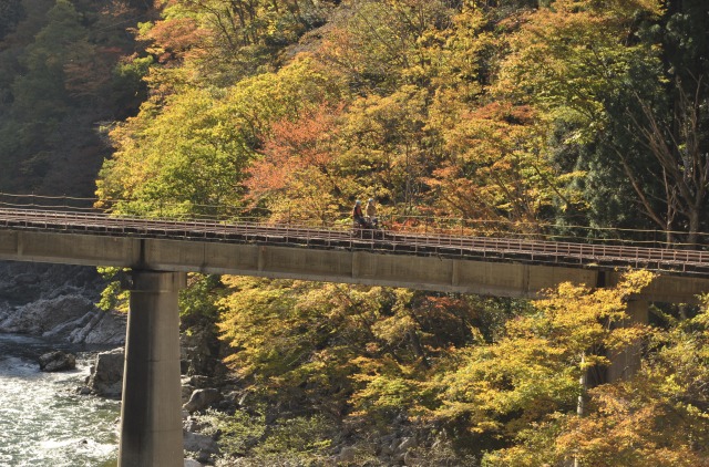 紅葉も美しいが春もところどころに花が咲いている