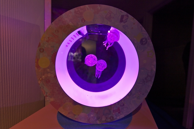 「KAWAII不思議AQUARIUM」