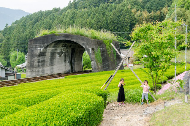 茶畑のすぐそばにある、通称「日本一短いトンネル」