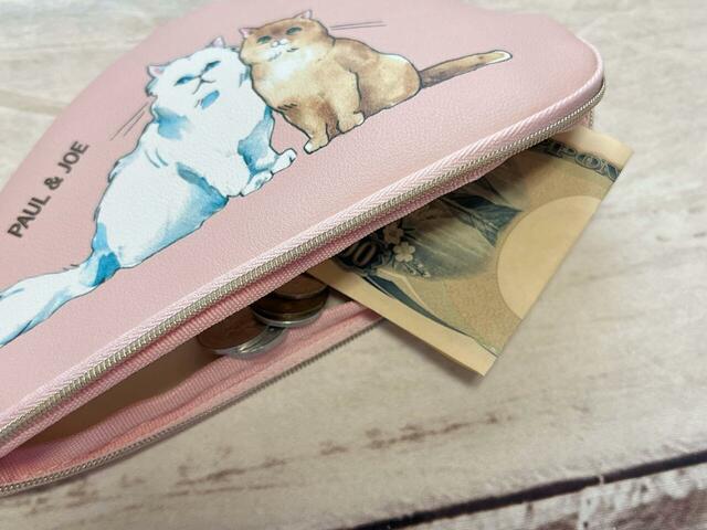 旅先での簡易的なお財布として使っても◎