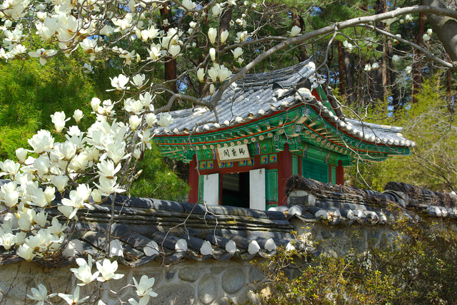 江原道・江陵の史跡『烏竹軒』　写真提供：韓国観光公社、江原道、江陵市