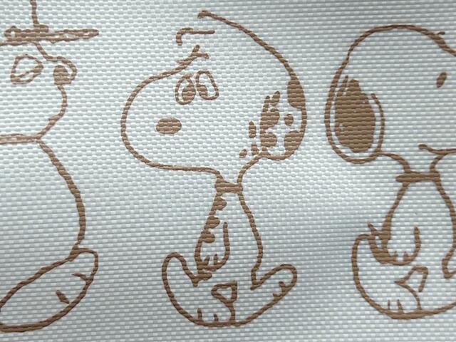 マーブル模様のお耳と体が特徴的なマーブルス