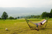 ハンモックは1つ1泊¥1,000でレンタルできる ※要予約
